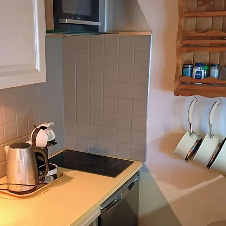 Confortable 4 Pers. Au Grand-bornand Avec Balcon Et Garage - Fr-1-458-191 Apartment *